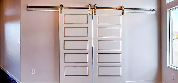 Glass Barn Door with Installation Hardware Kit Isla Vista