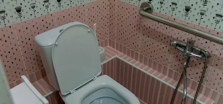 Meeting Diverse Needs With Accessible Restroom Solutions in Isla Vista, CA